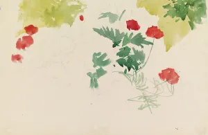 Sketch Book Prints: Geraniums, c1890s. Creator: Albert Edelfelt