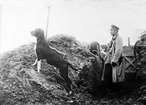 German Officer with his dog in the trenches, c.1914