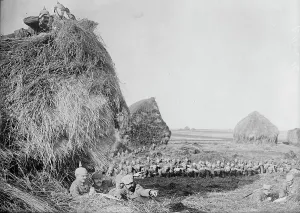 Germans in S.W. Belgium, between 1914 and c1915. Creator: Bain News Service