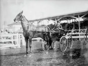 Contestant Prints: Gheen, J.O - Driving Boscobel In Horse Show