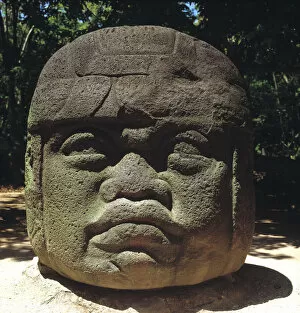 Arte Gallery: Giant head from Olmec culture