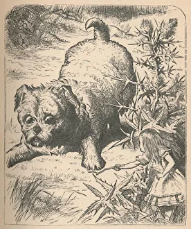 Puppy Gallery: The Giant Puppy, 1889. Artist: John Tenniel