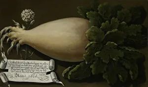 Radish Prints: A Giant Radish, 1626. Creator: Anon