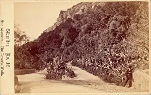 Sloped Prints: Gibraltar, The Alameda, The Lover's Walk
