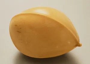 Smooth Prints: Gingko Nut, Mid-19th century. Creator: Ohara Mitsuhiro