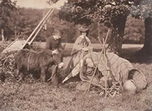 Gipsy Gallery: Gipsies, 1853-56. Creator: John Dillwyn Llewelyn