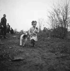 Puppy Gallery: Gipsy child with a puppy, Lewes, Sussex, 1963