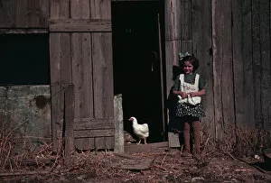 Farm Gallery: Girl next to barn with chicken, between 1941 and 1942. Creator: Unknown