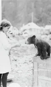 Cautious Prints: Girl and bear cub, between c1900 and 1916. Creator: Unknown
