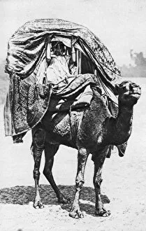 Canopy Gallery: A girl on a camel litter, Algeria, 1922. Artist: Crete