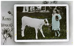 Girl about to milk a cow, greetings card, c1890-1910(?)