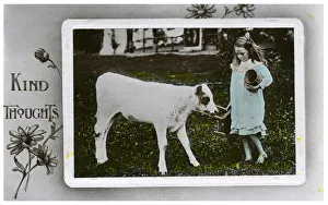 Pail Prints: Girl about to milk a cow, greetings card, c1890-1910(?)