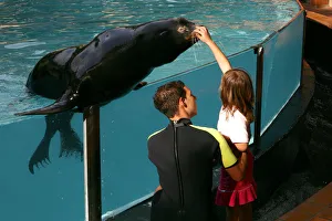 Canary Islands Prints: Girl petting a sea lion Loro Parque, Tenerife, Canary Islands, 2007