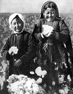 Cotton Plantation Gallery: Girls in a cotton field, Kazakhstan, 1936