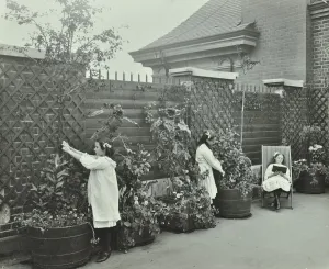 Deck Chair Prints: Girls gardening and reading in a roof top garden, White Lion Street School, London, 1912