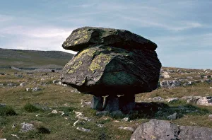 Limestone Prints: Glacial Erratic block of Silurian grit