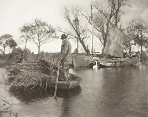 Freesia Prints: The Gladdon-Cutter's Return, 1886. Creator: Peter Henry Emerson