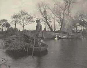 Reed Gallery: The Gladdon-Cutters Return, 1886. Creators: Dr Peter Henry Emerson