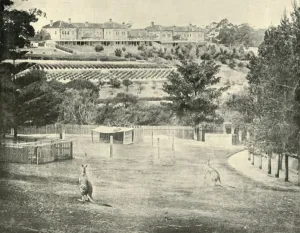 Healthcare Prints: Gladesville Asylum for the Insane, New South Wales, 1901. Creator: Unknown