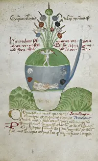 Alembic Prints: Glass vessel containing figures relating to alchemical experimentation