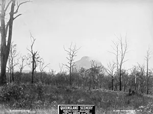 Wilderness Prints: Glasshouse Mountains, Tibberoowuccum, 1894. Creator: Unknown