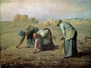 Images Dated 18th March 2013: The Gleaner women, 1857, by Jean Francois Millet