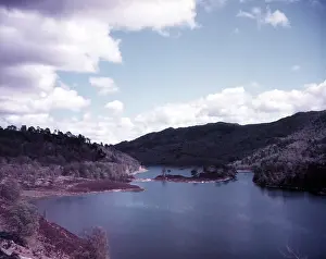 Island Prints: Glen Affric near Affric Lodge, Scotland, c1955. Creator: Arthur Charles Kirby Ware