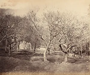Ross Hartio Prints: Glen Forsa, Isle of Mull, ca. 1858. Creator: Horatio Ross