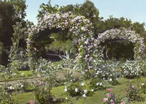Arbour Prints: Glen Oaks, James Hobart Moore house