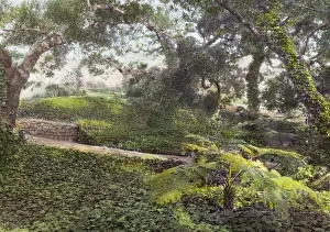 Shady Prints: Glen Oaks, James Hobart Moore house