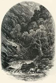 Petter Gallery: Glen Tilt, c1870