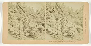 Bw Kilburn Gallery: Glories of Mt. Washington, Midwinter, 1895. Creator: BW Kilburn