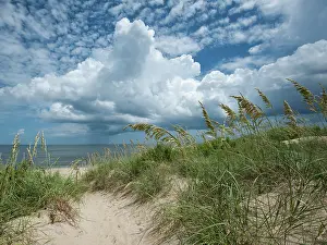 Sand Dune Prints: A Glorious Day. Creator: Eve Turek