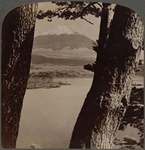 Glorious Fuji, beloved by artists and poets, seen through pines at Lake Motosu, Japan Glorious Fuji, beloved by artists and poets, seen through pines at Lake Motosu, Japan