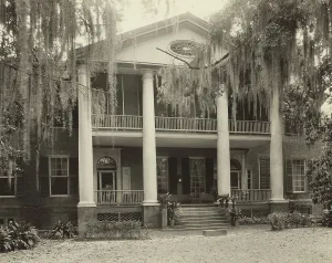 Tillandsia Usneoides Prints: Gloucester, Natchez, Adams County, Mississippi, 1938. Creator: Frances Benjamin Johnston