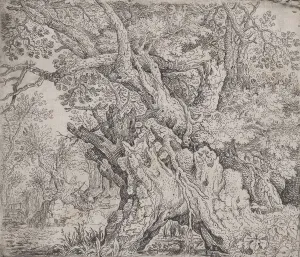 Roelant Saverij Prints: Gnarled Tree, ca. 1608-09. Creator: Roelandt Savery