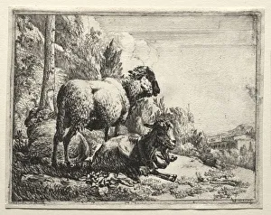 Johann Heinrich Roos Prints: Goat with Bell, 1665. Creator: Johann Heinrich Roos (German, 1631-1685)