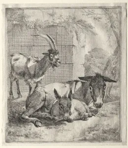 Johann Heinrich Roos Prints: Goat and Donkeys. Creator: Johann Heinrich Roos (German, 1631-1685)
