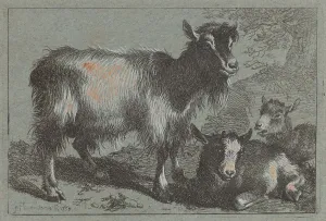 Francesco Londonio Prints: Goat and Two Kids, 1758. Creator: Francesco Londonio