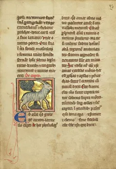 William Shelley Prints: A Goat; De Natura Avium; De Pastoribus et Ovibus; Bestiarium