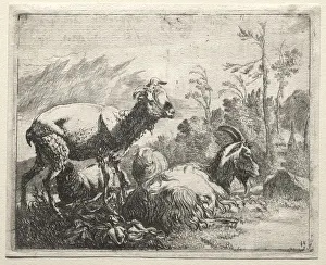 Goats, 1665. Creator: Johann Heinrich Roos (German, 1631-1685)