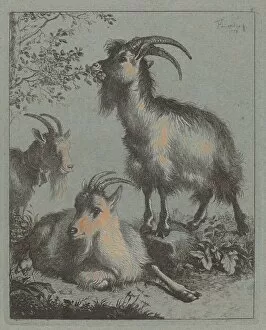 Three Goats, 1758. Creator: Francesco Londonio