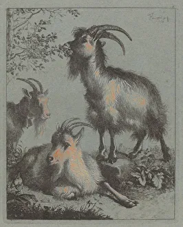 Francesco Londonio Prints: Three Goats, 1758. Creator: Francesco Londonio