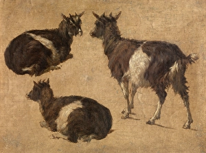 Animal Marking Prints: Goats, c1870s. Creator: Andre Plumot