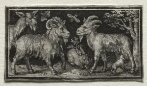 Nicolaes De Bruyn Netherlandish Prints: Goats and Hare, 1594. Creator: Nicolaes de Bruyn (Netherlandish)
