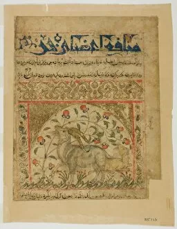 Goat Collection: Two Goats from Manafi al-Hayawan (On the Usefulness of Animals) of Ibn Bakhtishu, c