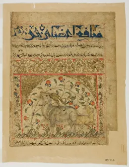 Two Goats from Manafi al-Hayawan (On the Usefulness of Animals) of Ibn Bakhtishu, c