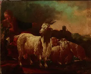 Tired Prints: Goats and Sheep, c1690. Creator: Philipp Peter Roos
