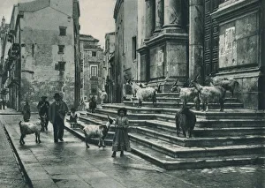 Palermo Prints: Goats on the steps of the Cathedral, Palermo, Sicily, Italy, 1927. Artist: Eugen Poppel
