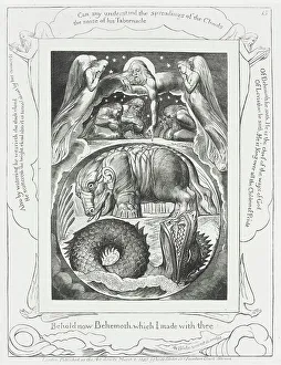 Leviathan Prints: God Pointing out Behemoth...and Leviathan, 1825. Creator: William Blake